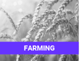 farming - content production ftc